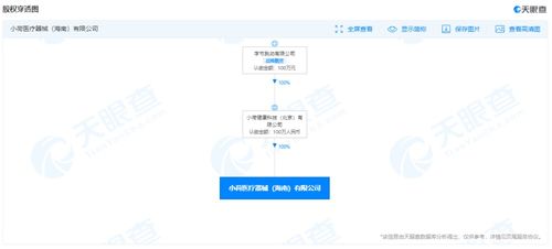 应用软件的开发 从构思到上线的全流程解析