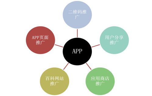应用软件开发的完整流程解析